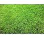 Terreau création et entretien pelouse avec mycorhizes 40 litres - SEC-0134