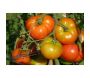 Terreau universel et potager pleine terre ou bac 40 litres - SEC-0155