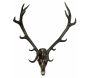 Tête de cerf en résine