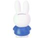 Tirelire 18 cm Miffy - ATELIER PIERRE