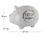 Tirelire cochon XXL Futur milliardaire - CMP-2594