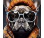 Toile décorative Bad bully 42.5 x 2.8 x 82.5 cm - 54,90