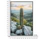 Toile décorative avec cadre Cactus 60 x 4 x 90 cm - MAU-0602