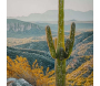 Toile décorative avec cadre Cactus 60 x 4 x 90 cm - 5
