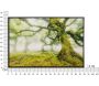 Toile décorative avec cadre Forest 90 x 4 x 60 cm - MAU-0604