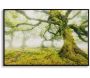 Toile décorative avec cadre Forest 90 x 4 x 60 cm
