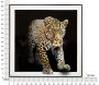 Toile décorative avec cadre Jaguar 82 x 4 x 82 cm - MAU-0538