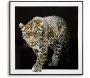 Toile décorative avec cadre Jaguar 82 x 4 x 82 cm