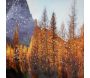 Toile décorative avec cadre Lake 90 x 4 x 60 cm - 72,90