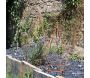 Topiaire en fer forgé rouillé (Lot de 2) - 