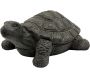 Tortue décorative extérieure en magnésie