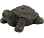 Tortue décorative extérieure en magnésie