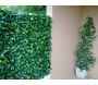 Treillis en bois de saule et feuilles de troène doré - JET7GARDEN