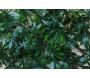 Treillis en bois de saule et feuilles de vigne vierge artificielles - FEN-0139