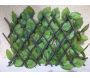 Treillis en bois de saule feuilles de rosier (Lot de 6) - 5