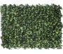 Treillis en bois de saule feuilles de troène doré (Lot de 6) - FEN-0326