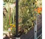Treillis pour carré potager Gardenbox - 29,90