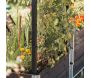 Treillis pour carré potager Gardenbox - 29,90