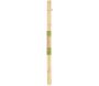Tuteur en bambou pour plantes 50 cm (Lot de 20) - GARDEN TOOLS