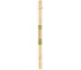 Tuteur en bambou pour plantes 50 cm (Lot de 20) - GARDEN TOOLS