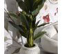 Vase en magnésie Chil 48 x 38 cm - MAURO FERRETTI