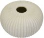 Vase en magnésie Icicle - 89,90