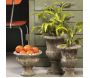 Vase en terre cuite antique - ESSCHERTS GARDEN