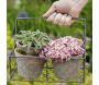 4 pots dans panier métal - ESSCHERT DESIGN