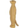 Suricate