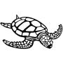 Tortue