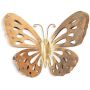 Papillon doré