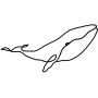 Baleine