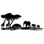 Baobab et animaux