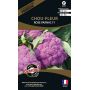 Chou-fleurs Rose Parnac