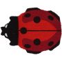 Coccinelle