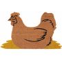 Poule