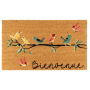 Bienvenue oiseaux