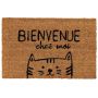Chat bienvenue