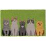 Chats