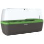Anthracite et vert