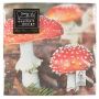 Champignons et feuilles