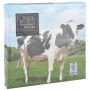 Vache