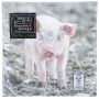 Cochonnet