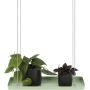 Longueur de 38 cm