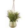 Vert olive
