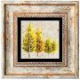 Arbres