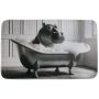 Hippo