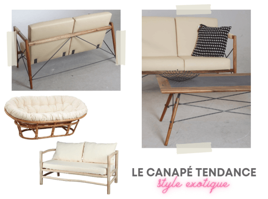 canape-tendance-exotique