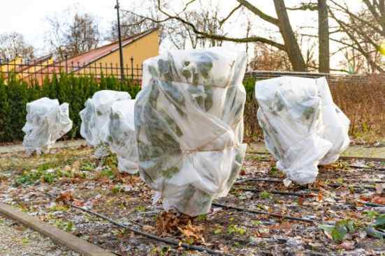 Voile hivernage et housse, protection des plantes au meilleur prix