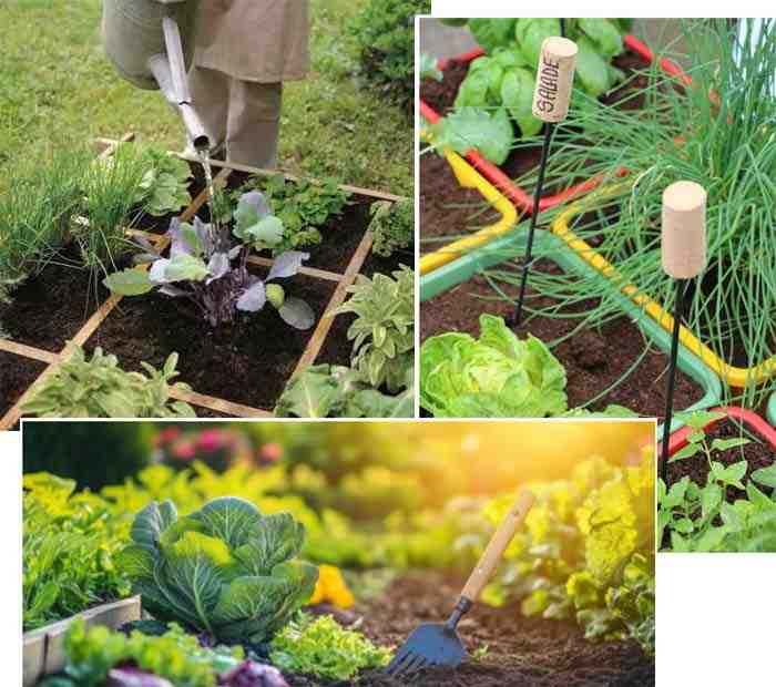 preparer-son-potager-hiver